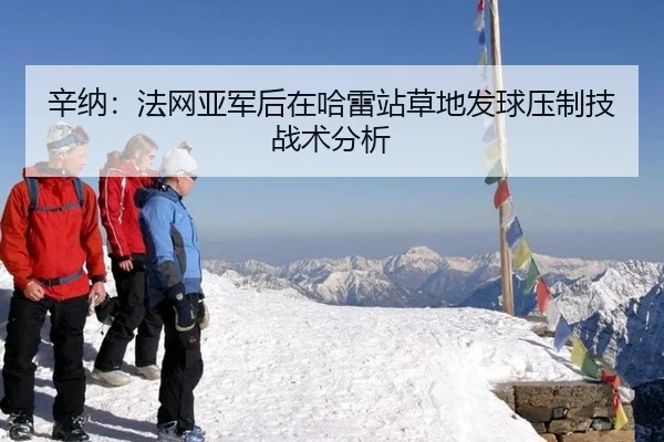 辛纳：法网亚军后在哈雷站草地发球压制技战术分析