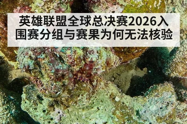 英雄联盟全球总决赛2026入围赛分组与赛果为何无法核验